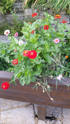 Local music society looks at some Russian \'flash mobs\' and national anthems - don\'t forget \'The Temperance Seven\'